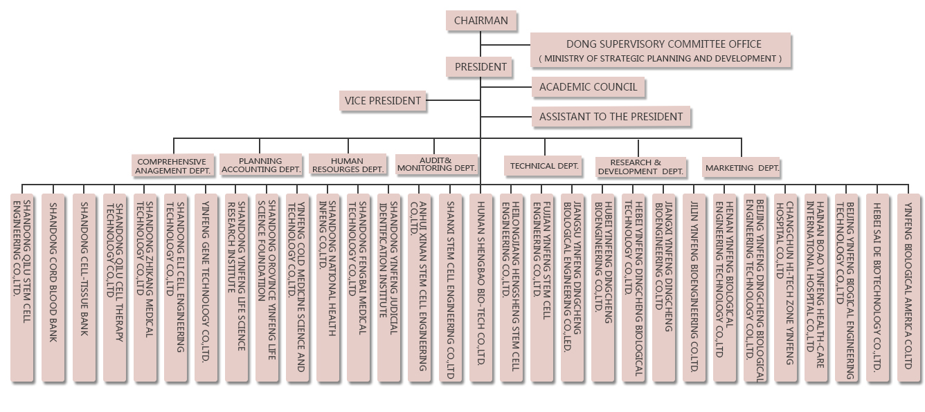 生物集团组织结构英语2018.jpg